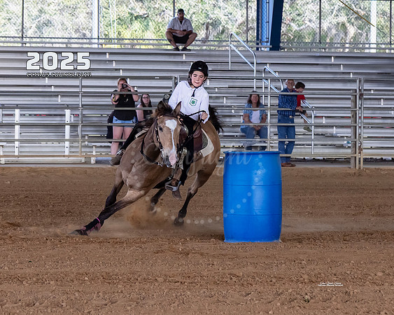 Horses 1