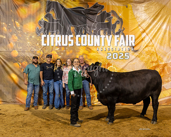 Steers #44