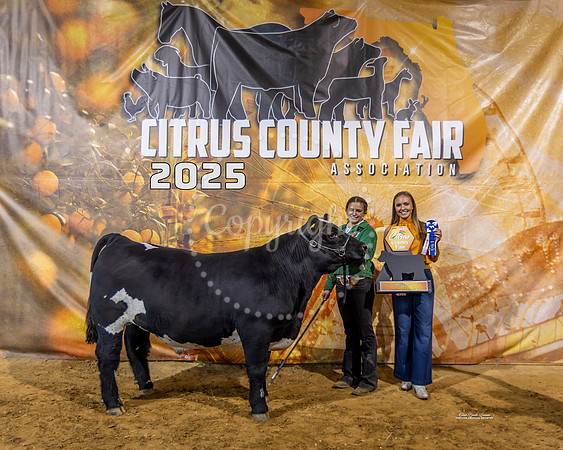 Grand Champion