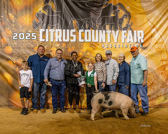 #178 Swine Photo #2