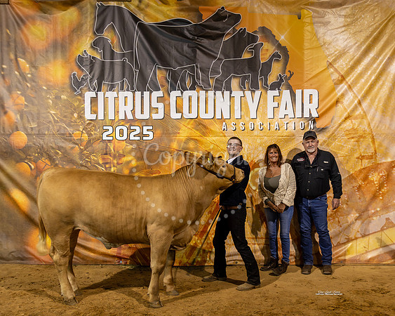 Steers #53