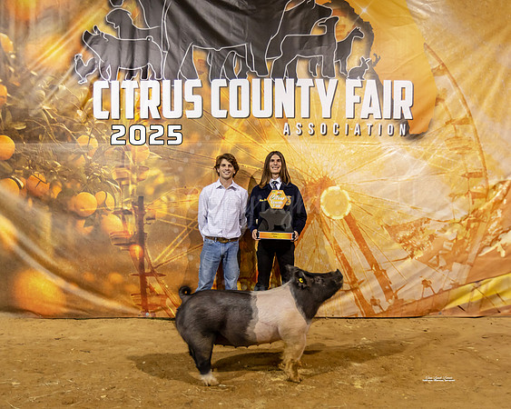 Swine Class 1