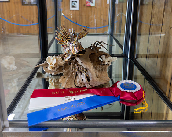 Art Sculpture Best of Show #41