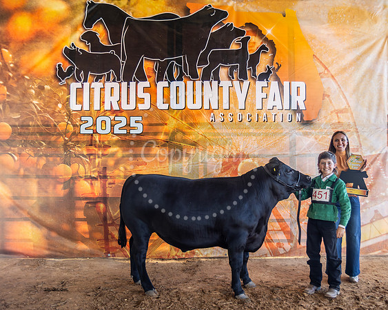 Steer Class 2