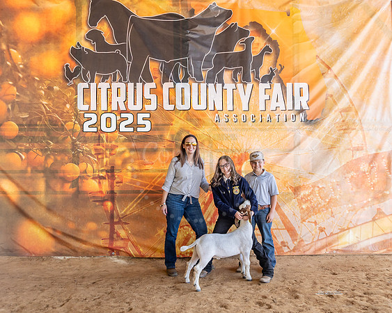 Grand Champion Market Wether