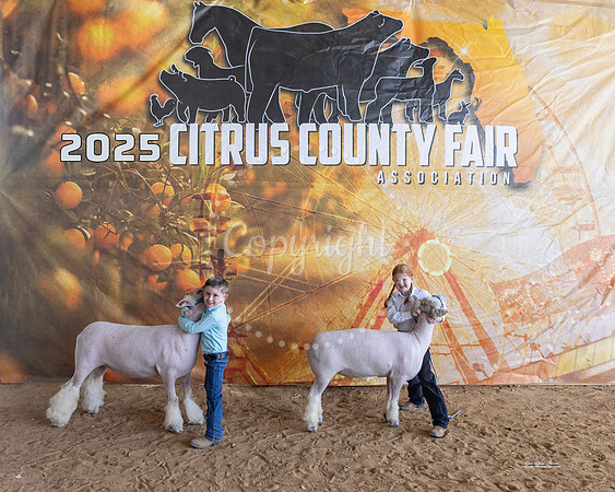 Pee Wee Showmanship