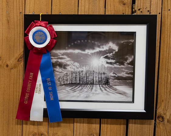 Art Best of Show
