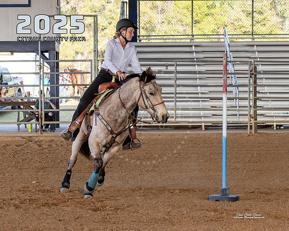 Horses 13