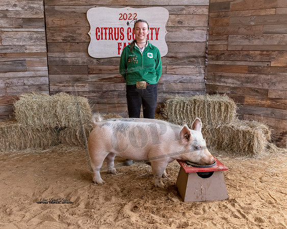 Grand Champion Swine Carcass