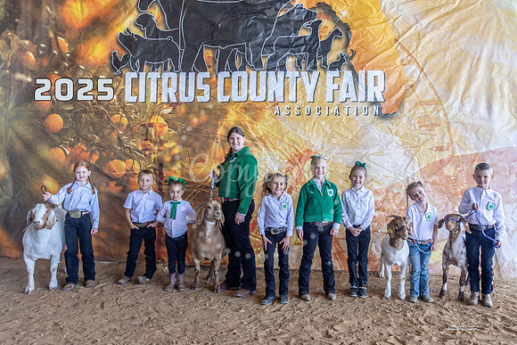 Pee Wee Showmanship
