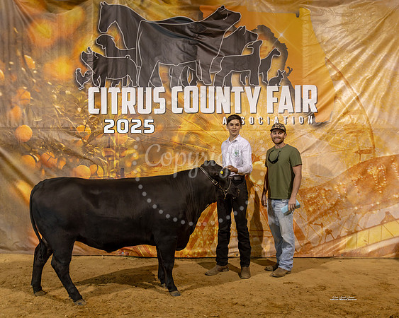 Steers #64