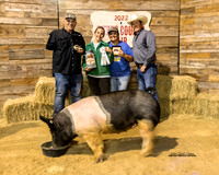 Swine Show Reserve Grand Champion