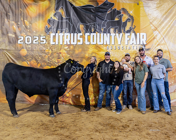 Steers #26