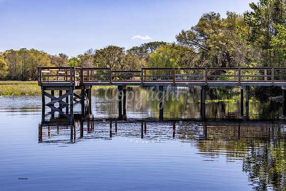 Eden Park Pier